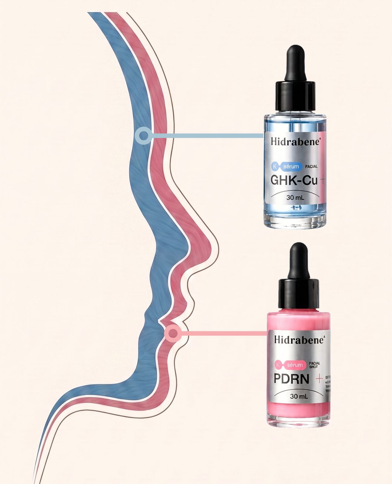 Corte lateral da pele com estrutura de colágeno em azul e renovação de superfície em rosa, cada camada com o frasco correspondente